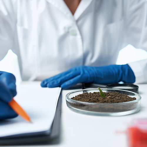 Análisis en Agricultura